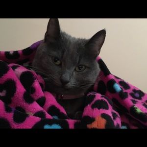 Meet your Posher, Taylor